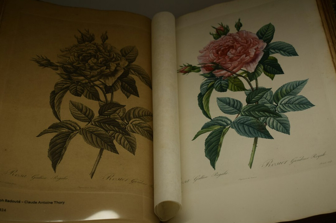 Books and papers in an archive