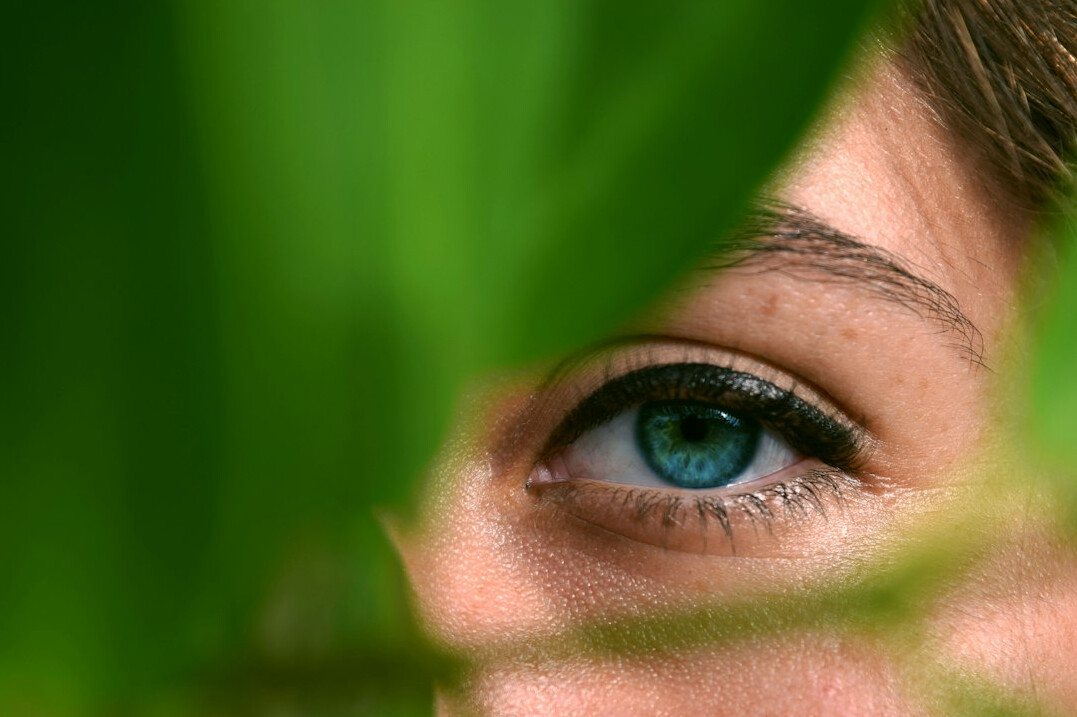 close up of eyes observing