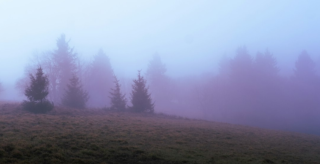 Foggy landscape at dawn